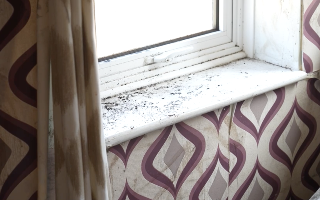 Devastated parents claim mould-ridden flat contributed to baby’s death, as government slammed for Awaab’s Law delays